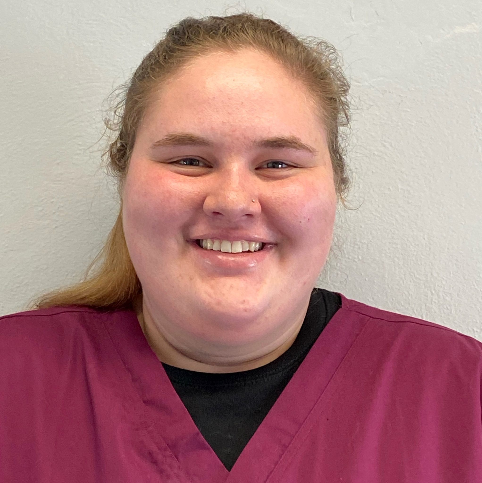 Veterinary Assistants Hudson Veterinary Hospital